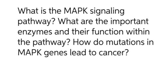 What is the MAPK signaling
pathway? What are the important
enzymes and their function within
the pathway? How do mutations in
MAPK genes lead to cancer?