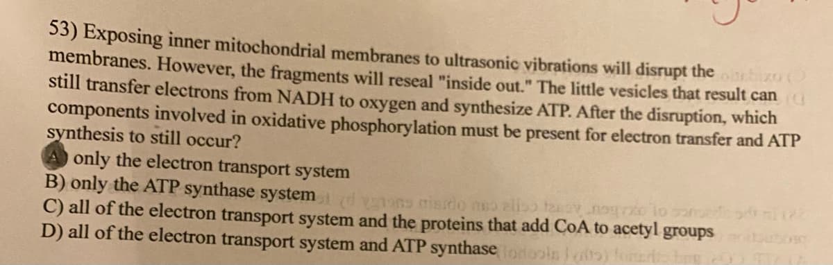 53) Exposing inner mitochondrial membranes to ultrasonic vibrations will disrupt the
membranes. However, the fragments will reseal "inside out." The little vesicles that result can (
still transfer electrons from NADH to oxygen and synthesize ATP. After the disruption, which
components involved in oxidative phosphorylation must be present for electron transfer and ATP
synthesis to still occur?
A only the electron transport system
B) only the ATP synthase system vons issdo mo alio teoy nog
C) all of the electron transport system and the proteins that add CoA to acetyl groups
D) all of the electron transport system and ATP synthase olools lofts)
