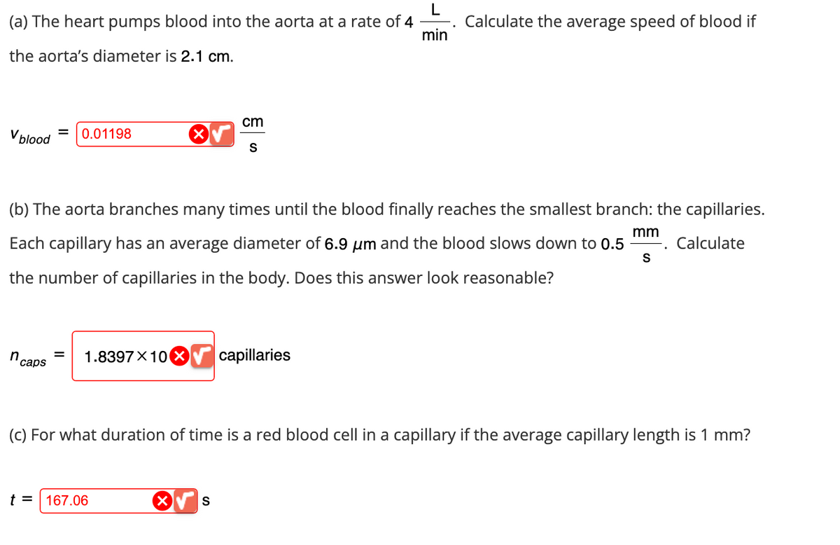 L
(a) The heart pumps blood into the aorta at a rate of 4
Calculate the average speed of blood if
min
the aorta's diameter is 2.1 cm.
cm
V blood
0.01198
S
mm
(b) The aorta branches many times until the blood finally reaches the smallest branch: the capillaries.
Each capillary has an average diameter of 6.9 μm and the blood slows down to 0.5
the number of capillaries in the body. Does this answer look reasonable?
Calculate
S
n
= 1.8397X10 ×
capillaries
caps
(c) For what duration of time is a red blood cell in a capillary if the average capillary length is 1 mm?
t = 167.06
S