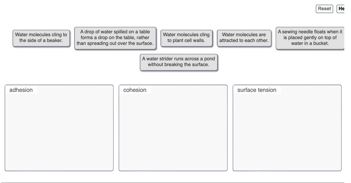 Water molecules cling to
the side of a beaker.
A drop of water spilled on a table
forms a drop on the table, rather
than spreading out over the surface.
Water molecules cling
to plant cell walls.
A water strider runs across a pond
without breaking the surface.
adhesion
cohesion
Reset
He
Water molecules are
attracted to each other.
A sewing needle floats when it
is placed gently on top of
water in a bucket.
surface tension