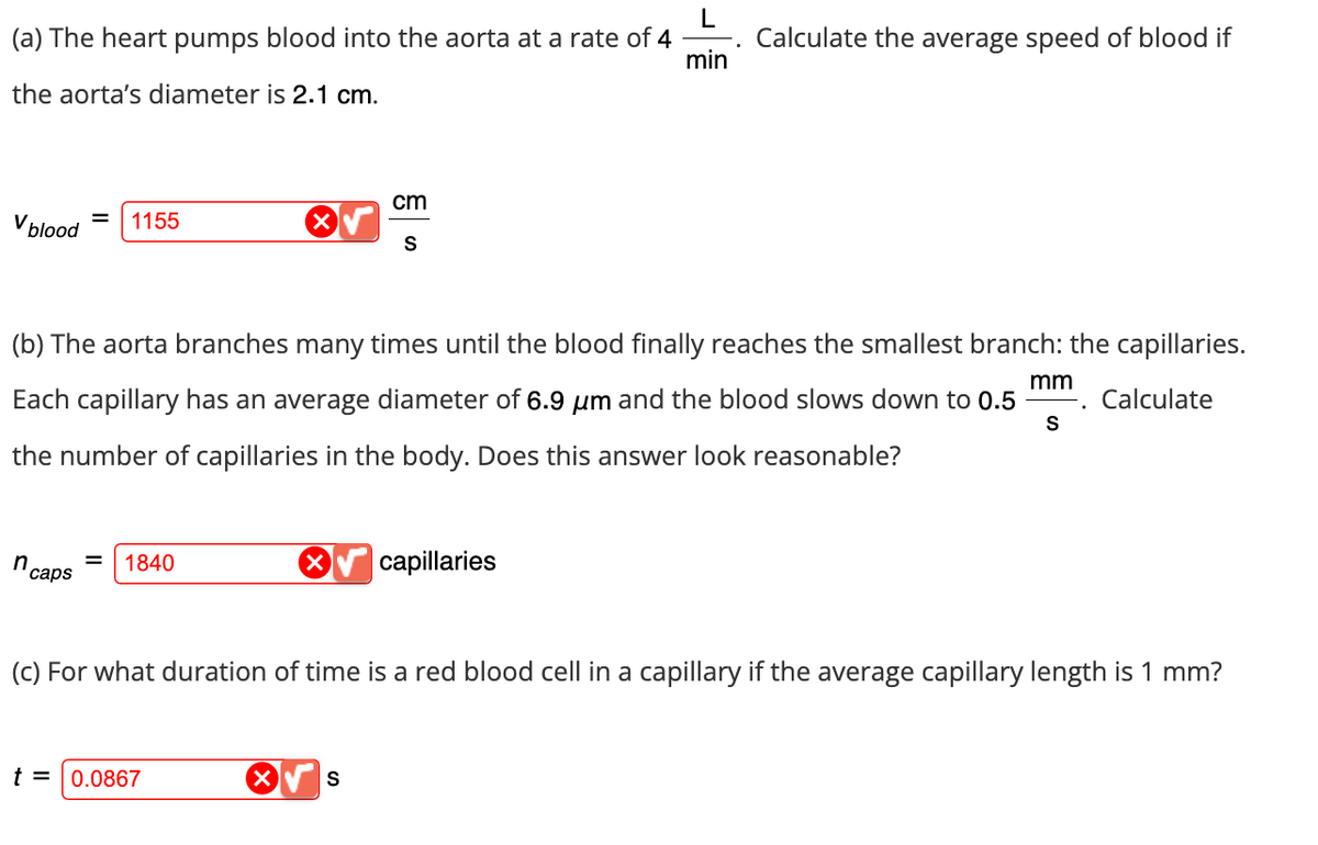 L
(a) The heart pumps blood into the aorta at a rate of 4
.
Calculate the average speed of blood if
min
the aorta's diameter is 2.1 cm.
1155
V blood
cm
S
(b) The aorta branches many times until the blood finally reaches the smallest branch: the capillaries.
Each capillary has an average diameter of 6.9 μm and the blood slows down to 0.5
the number of capillaries in the body. Does this answer look reasonable?
mm
Calculate
.
S
n
1840
caps
capillaries
(c) For what duration of time is a red blood cell in a capillary if the average capillary length is 1 mm?
t = 0.0867
S