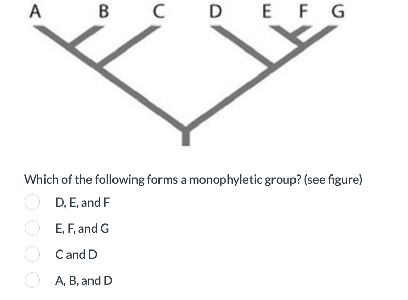 A
B C D E F G
DEFG
Which of the following forms a monophyletic group? (see figure)
D, E, and F
E, F, and G
C and D
A, B, and D