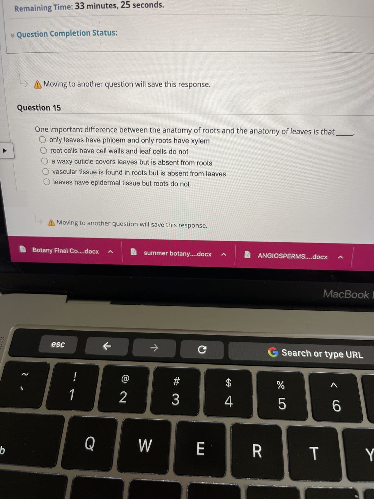 ::::
b
Remaining Time: 33 minutes, 25 seconds.
* Question Completion Status:
A Moving to another question will save this response.
1
Question 15
~
One important difference between the anatomy of roots and the anatomy of leaves is that
O only leaves have phloem and only roots have xylem
root cells have cell walls and leaf cells do not
a waxy cuticle covers leaves but is absent from roots
vascular tissue is found in roots but is absent from leaves
O leaves have epidermal tissue but roots do not
↳ A Moving to another question will save this response.
Botany Final Co....docx
esc
!
Q
1
←
2
summer botany....docx
→
W
#
3
с
E
$
4
n ANGIOSPERMS....docx
R
%
G Search or type URL
LO
5
T
^
MacBook P
< C
6
Y