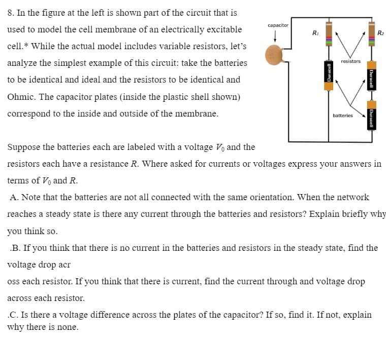 8. In the figure at the left is shown part of the circuit that is
used to model the cell membrane of an electrically excitable
cell.* While the actual model includes variable resistors, let's
analyze the simplest example of this circuit: take the batteries
to be identical and ideal and the resistors to be identical and
Ohmic. The capacitor plates (inside the plastic shell shown)
correspond to the inside and outside of the membrane.
capacitor
R:
Duracell
resistors
batteries
Duracell
Duracell
R₂
Suppose the batteries each are labeled with a voltage V, and the
resistors each have a resistance R. Where asked for currents or voltages express your answers in
terms of V, and R.
A. Note that the batteries are not all connected with the same orientation. When the network
reaches a steady state is there any current through the batteries and resistors? Explain briefly why
you think so.
.B. If you think that there is no current in the batteries and resistors in the steady state, find the
voltage drop acr
oss each resistor. If you think that there is current, find the current through and voltage drop
across each resistor.
.C. Is there a voltage difference across the plates of the capacitor? If so, find it. If not, explain
why there is none.