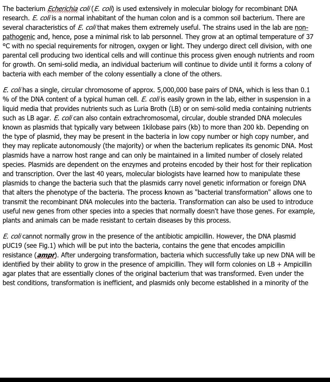 The bacterium Echerichia coli (E. coli) is used extensively in molecular biology for recombinant DNA
research. E. coli is a normal inhabitant of the human colon and is a common soil bacterium. There are
several characteristics of E. coli that makes them extremely useful. The strains used in the lab are non-
pathogenic and, hence, pose a minimal risk to lab personnel. They grow at an optimal temperature of 37
°C with no special requirements for nitrogen, oxygen or light. They undergo direct cell division, with one
parental cell producing two identical cells and will continue this process given enough nutrients and room
for growth. On semi-solid media, an individual bacterium will continue to divide until it forms a colony of
bacteria with each member of the colony essentially a clone of the others.
E. coli has a single, circular chromosome of approx. 5,000,000 base pairs of DNA, which is less than 0.1
% of the DNA content of a typical human cell. E. coli is easily grown in the lab, either in suspension in a
liquid media that provides nutrients such as Luria Broth (LB) or on semi-solid media containing nutrients
such as LB agar. E. coli can also contain extrachromosomal, circular, double stranded DNA molecules
known as plasmids that typically vary between 1kilobase pairs (kb) to more than 200 kb. Depending on
the type of plasmid, they may be present in the bacteria in low copy number or high copy number, and
they may replicate autonomously (the majority) or when the bacterium replicates its genomic DNA. Most
plasmids have a narrow host range and can only be maintained in a limited number of closely related
species. Plasmids are dependent on the enzymes and proteins encoded by their host for their replication
and transcription. Over the last 40 years, molecular biologists have learned how to manipulate these
plasmids to change the bacteria such that the plasmids carry novel genetic information or foreign DNA
that alters the phenotype of the bacteria. The process known as "bacterial transformation" allows one to
transmit the recombinant DNA molecules into the bacteria. Transformation can also be used to introduce
useful new genes from other species into a species that normally doesn't have those genes. For example,
plants and animals can be made resistant to certain diseases by this process.
E. coli cannot normally grow in the presence of the antibiotic ampicillin. However, the DNA plasmid
PUC19 (see Fig.1) which will be put into the bacteria, contains the gene that encodes ampicillin
resistance (ampr). After undergoing transformation, bacteria which successfully take up new DNA will be
identified by their ability to grow in the presence of ampicillin. They will form colonies on LB + Ampicillin
agar plates that are essentially clones of the original bacterium that was transformed. Even under the
best conditions, transformation is inefficient, and plasmids only become established in a minority of the
