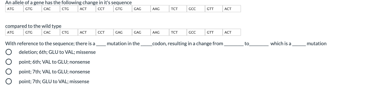 An allele of a gene has the following change in it's sequence
ATG
GTG
САС
CTG
АСT
ССТ
GTG
GAG
AAG
TCT
GCC
GTT
АСT
compared to the wild type
ATG
GTG
САС
CTG
АСТ
ССТ
GAG
GAG
AAG
TCT
GCC
GTT
АСТ
With reference to the sequence; there is a
mutation in the
codon, resulting in a change from
to
which is a
mutation
O deletion; 6th; GLU to VAL; missense
O point; 6th; VAL to GLU; nonsense
O point; 7th; VAL to GLU; nonsense
O point; 7th; GLU to VAL; missense
