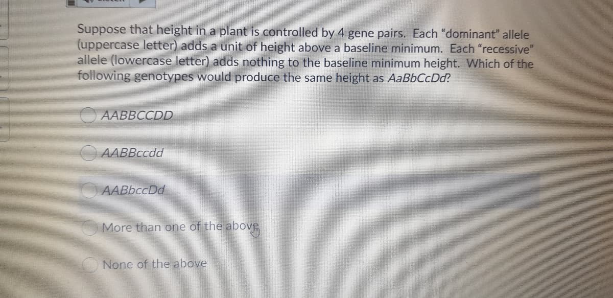 Suppose that height in a plant is controlled by 4 gene pairs. Each "dominant" allele
(uppercase letter) adds a unit of height above a baseline minimum. Each "recessive"
allele (lowercase letter) adds nothing to the baseline minimum height. Which of the
following genotypes would produce the same height as AaBbCcDd?
AABBCCDD
O AABBccdd
AABbccDd
More than one of the above
None of the above
