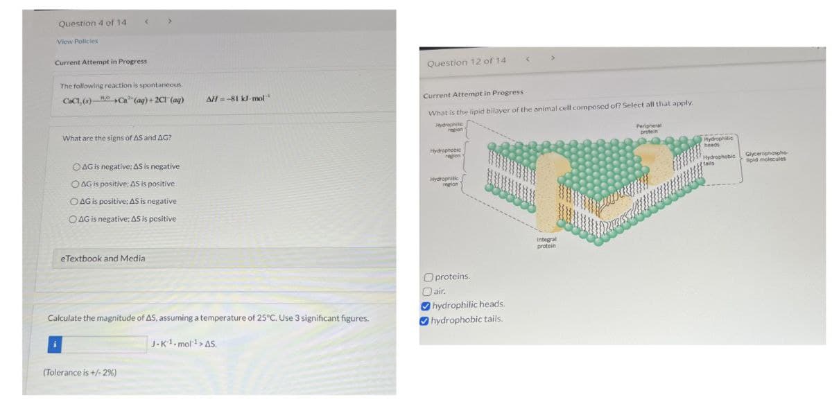 Question 4 of 14
View Policies
Current Attempt in Progress
The following reaction is spontaneous.
CaCl, (s)- Ca (aq)+2C1 (aq)
What are the signs of AS and AG?
OAG is negative; AS is negative
OAG is positive; AS is positive
OAG is positive; AS is negative
OAG is negative; AS is positive
eTextbook and Media
Question 12 of 14
AH -81 kJ mol
Current Attempt in Progress
Calculate the magnitude of AS, assuming a temperature of 25°C. Use 3 significant figures.
J.K1.mol¹> AS.
(Tolerance is +/-2%)
What is the lipid bilayer of the animal cell composed of? Select all that apply.
Hydrophil
Hydrophobic
region 1
Hydrophilic
region
O proteins.
air.
hydrophilic heads.
hydrophobic tails.
Integral
protein
Peripheral
protein
Hydrophilic
heads
Hydrophobic
tails
Glycerophospho
lipid molecules