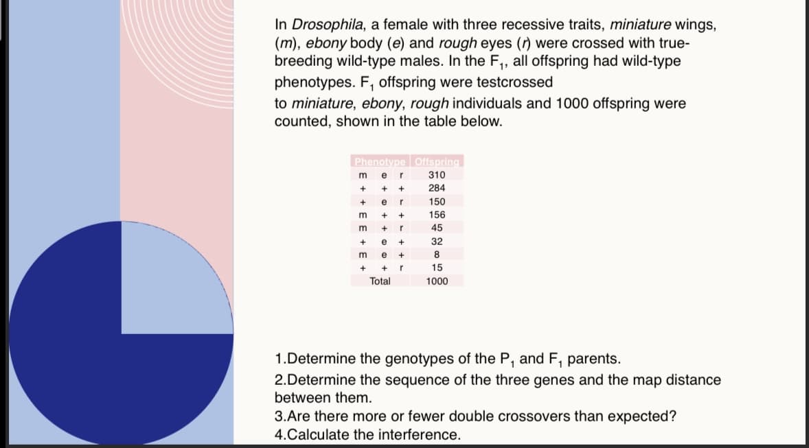 In Drosophila, a female with three recessive traits, miniature wings,
(m), ebony body (e) and rough eyes (r) were crossed with true-
breeding wild-type males. In the F₁, all offspring had wild-type
phenotypes. F, offspring were testcrossed
to miniature, ebony, rough individuals and 1000 offspring were
counted, shown in the table below.
Phenotype Offspring
m e r
310
++ +
284
+ e r
m+ +
m + r
+ e
+
m
e
+
+
+ r
Total
150
156
45
32
8
15
1000
1.Determine the genotypes of the P, and F, parents.
2.Determine the sequence of the three genes and the map distance
between them.
3.Are there more or fewer double crossovers than expected?
4.Calculate the interference.