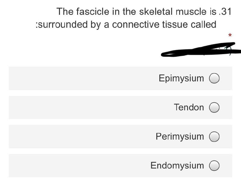 The fascicle in the skeletal muscle is .31
:surrounded by a connective tissue called
Epimysium O
Tendon O
Perimysium O
Endomysium O
