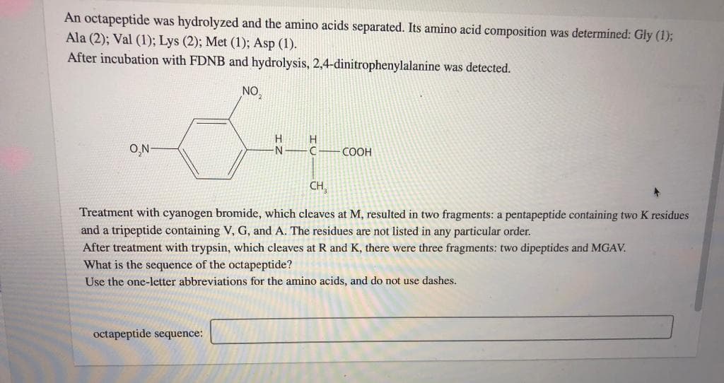 An octapeptide was hydrolyzed and the amino acids separated. Its amino acid composition was determined: Gly (1);
Ala (2); Val (1); Lys (2); Met (1); Asp (1).
After incubation with FDNB and hydrolysis, 2,4-dinitrophenylalanine was detected.
NO,
H
N -C- COOH
H
O,N
CH,
Treatment with cyanogen bromide, which cleaves at M, resulted in two fragments: a pentapeptide containing two K residues
and a tripeptide containing V, G, and A. The residues are not listed in any particular order.
After treatment with trypsin, which cleaves at R and K, there were three fragments: two dipeptides and MGAV.
What is the sequence of the octapeptide?
Use the one-letter abbreviations for the amino acids, and do not use dashes.
octapeptide sequence:
