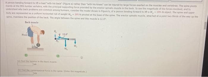 A person bending forward to lift a load "with his back" (Figure a) rather than with his knees" can be injured by large forces exerted on the muscles and vertebrae. The spine pivots
mainly at the fifth lumbar vertebra, with the principal supporting force provided by the erector spinalis muscle in the back. To see the magnitude of the forces involved, and to
understand why back problems are common among humans, consider the model shown in Figure b, of a person bending forward to lift a W-195-N object. The spine and upper
body are represented as a uniform horizontal rod of weight W-295 N pivoted at the base of the spine. The erector spinalls muscle, attached at a point two-thirds of the way up the
spine, maintains the position of the back. The angle between the spine and this muscle is 12.0°
Back muscle
Pivot
R₂
T120
T
W
W₂
0
(a) Find the tension in the back muscle.
KN
D
(b) Find the compressional force in the spine. (Enter the magnitude.)
KN