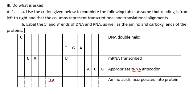 II. Do what is asked
A. 1. a. Use the codon given below to complete the following table. Assume that reading is from
left to right and that the columns represent transcriptional and translational alignments.
b. Label the 5' and 3' ends of DNA and RNA, as well as the amino and carboxyl ends of the
proteins.
DNA double helix
T
GA
CA
MRNA transcribed
A.
G| Appropriate tRNA anticodon
Tre
Amino acids incorporated into protein
