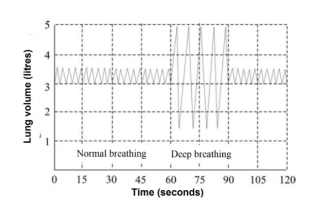 5
3
Normal breathing
Deep breathing
15
30
45
60
75
90
105 120
Time (seconds)
Lung volume (litres)
2.
