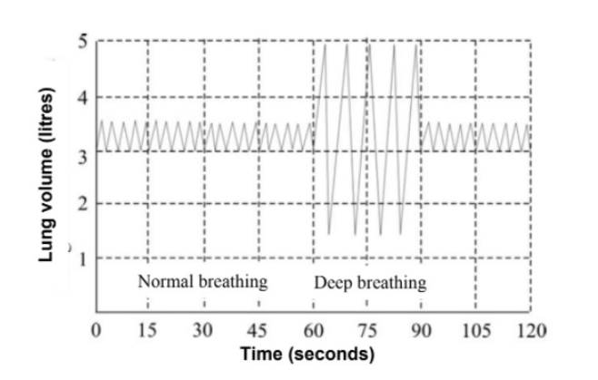 3
2
Normal breathing
Deep breathing
15
30
45
60
75
90
105 120
Time (seconds)
Lung volume (litres)
