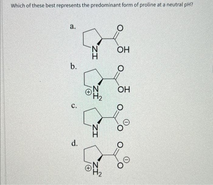 Which of these best represents the predominant form of proline at a neutral pH?
a.
b.
C.
d.
N
H₂
ZI
ZI
N
OH
OH
OO