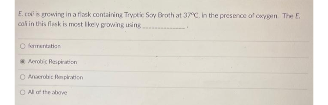 E. coli is growing in a flask containing Tryptic Soy Broth at 37°C, in the presence of oxygen. The E.
coli in this flask is most likely growing using
O fermentation
O Aerobic Respiration
O Anaerobic Respiration
O All of the above
