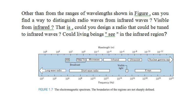 Other than from the ranges of wavelengths shown in Figure, can you
find a way to distinguish radio waves from infrared waves ? Visible
from infrared ? That is , could you design a radio that could be tuned
to infrared waves ? Could living beings " se " in the infrared region?
Wavelength (m)
106
104
102
100
10-2
104
10-6
10-8
10-10
10-12
AM
FM TV
Microwave
Infrared
Nuclear gamma rays
Ultraviolet
Broadcast
Visible
light
Long-wave radio
Short-wave radio
X rays
102
104
106
10
1010
1012
1014
1016
1018
1020
1022
Frequency (Hz)
FIGURE 1.7 The electromagnetic spectrum. The boundaries of the regions are not sharply defined.
