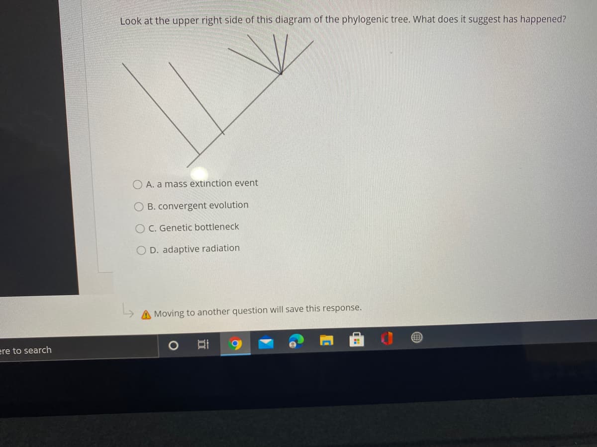 Look at the upper right side of this diagram of the phylogenic tree. What does it suggest has happened?
O A. a mass extinction event
B. convergent evolution
O C. Genetic bottleneck
O D. adaptive radiation
A Moving to another question will save this response.
ere to search
