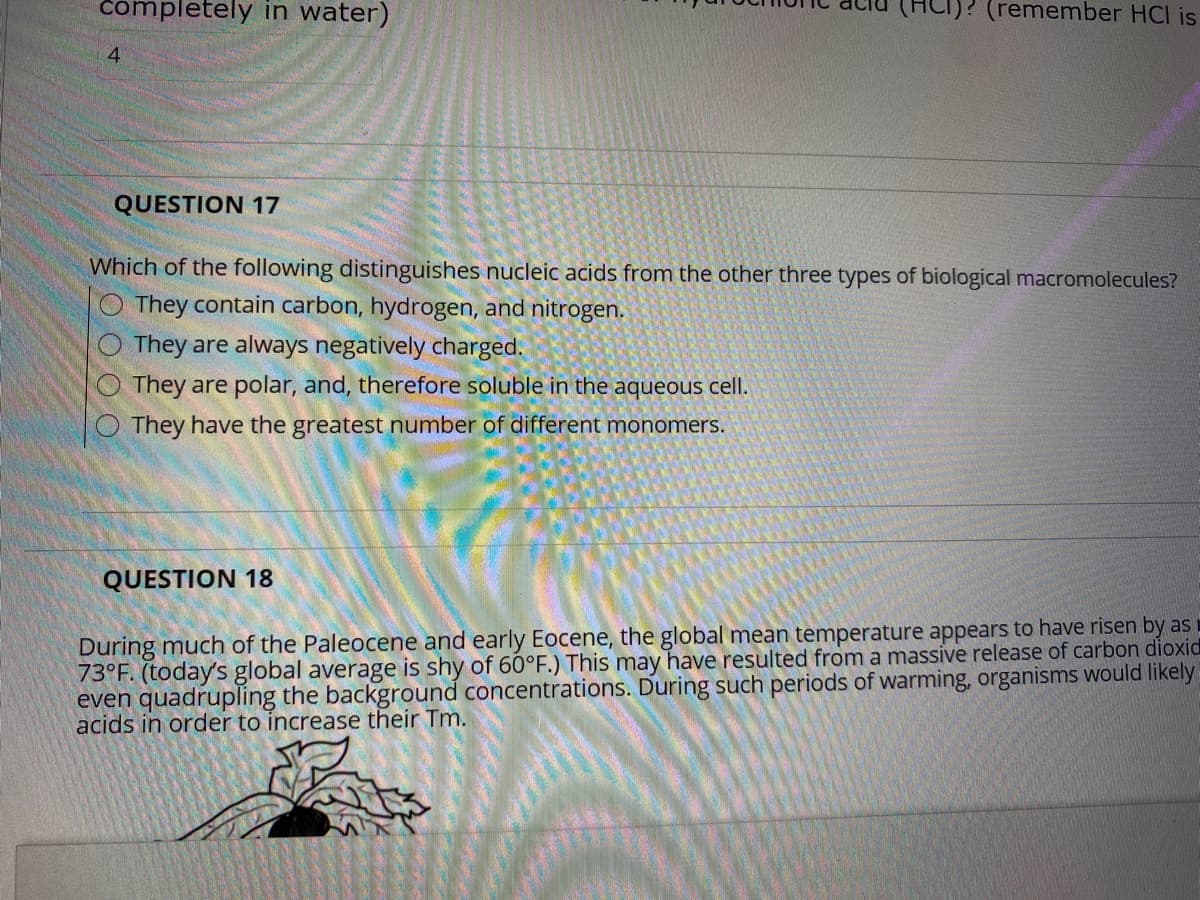 completely in water)
C)? (remember HCI is
4
QUESTION 17
Which of the following distinguishes nucleic acids from the other three types of biological macromolecules?
O They contain carbon, hydrogen, and nitrogen.
They are always negatively charged.
They are polar, and, therefore soluble in the aqueous cell.
O They have the greatest number of different monomers.
QUESTION 18
During much of the Paleocene and early Eocene, the global mean temperature appears to have risen by as
73°F. (today's global average is shy of 60°F.) This may have resulted from a massive release of carbon dioxid
even quadrupling the background concentrations. During such periods of warming, organisms would likely
acids in order to increase their Tm.
