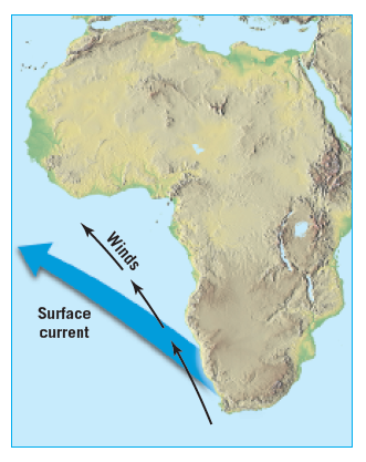 Surface
current
Winds
