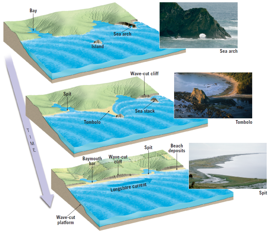 Bay
Sea arch
Island
Sea arch
Wave-cut cliff
Spit
Sea stack
Tombolo
Tombolo
M
Spit
Вeach
deposits
E
Baymouth Wave-cut
bar
cliff
Longshore current
Spit
Wave-cut
platform
