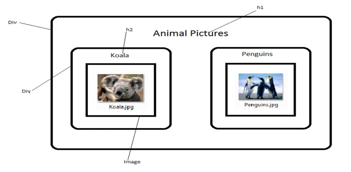 h1
Div
h2
Animal Pictures
Koala
Penguins
Div
Koala.jpg
Penguins.jpg
Image
