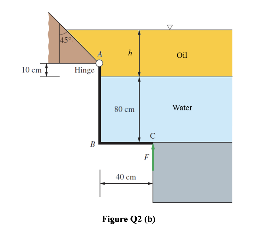 45°
A
h
Oil
10 cm
Hinge
80 cm
Water
В
F
40 cm
Figure Q2 (b)
