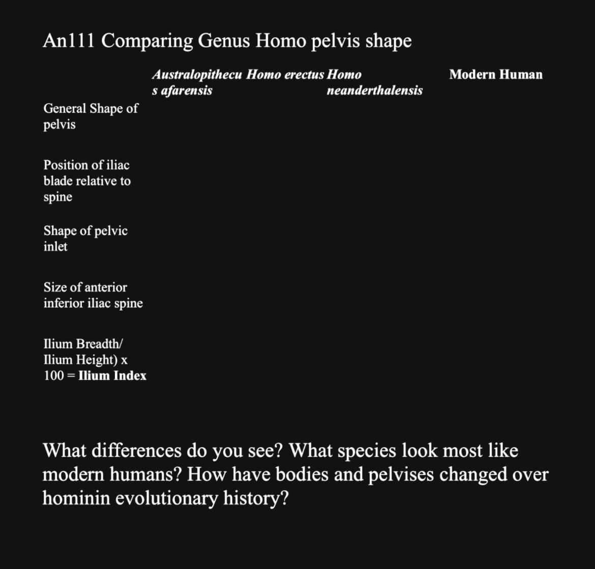 An111 Comparing Genus Homo pelvis shape
Australopithecu Homo erectus Homo
s afarensis
General Shape of
pelvis
Position of iliac
blade relative to
spine
Shape of pelvic
inlet
Size of anterior
inferior iliac spine
Ilium Breadth/
Ilium Height) x
100 Ilium Index
Modern Human
neanderthalensis
What differences do you see? What species look most like
modern humans? How have bodies and pelvises changed over
hominin evolutionary history?