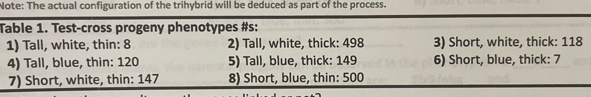 Note: The actual configuration of the trihybrid will be deduced as part of the process.
Table 1. Test-cross progeny phenotypes #s:
1) Tall, white, thin: 8
4) Tall, blue, thin: 120
7) Short, white, thin: 147
2) Tall, white, thick: 498
5) Tall, blue, thick: 149
8) Short, blue, thin: 500
3) Short, white, thick: 118
6) Short, blue, thick: 7
