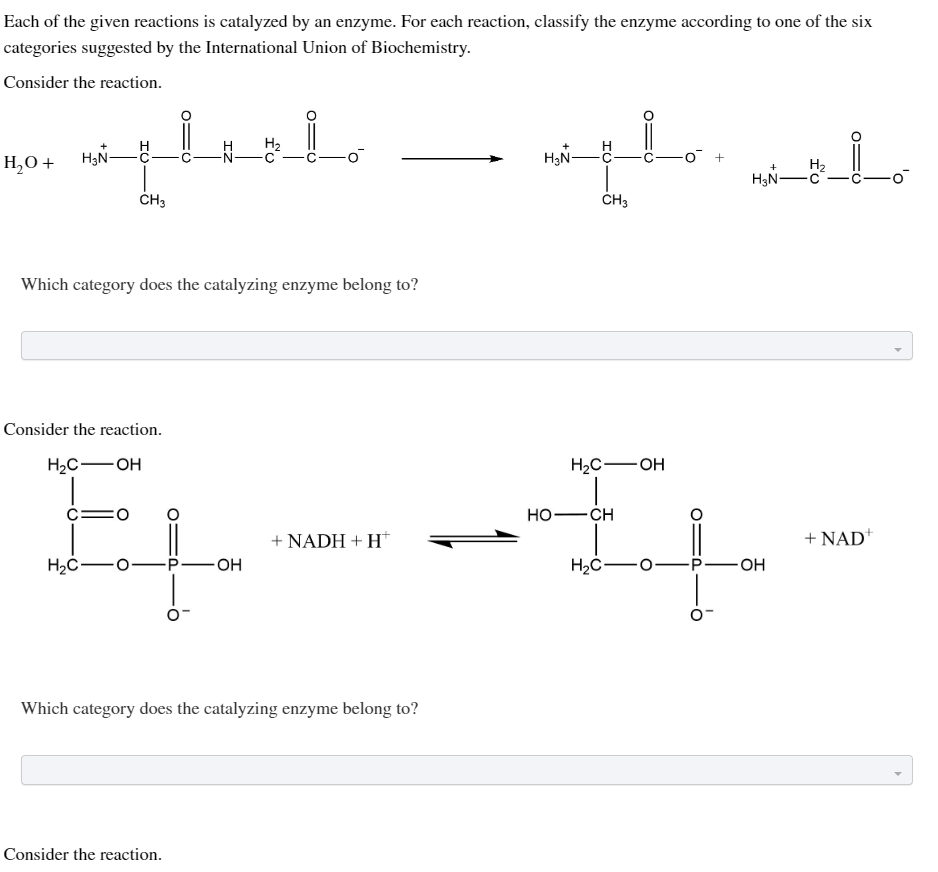 Each of the given reactions is catalyzed by an enzyme. For each reaction, classify the enzyme according to one of the six
categories suggested by the International Union of Biochemistry.
Consider the reaction.
H₂O +
H₂N-
H₂C
CH3
Which category does the catalyzing enzyme belong to?
Consider the reaction.
H₂C-OH
CO
H₂
-OH
Consider the reaction.
+ NADH + H+
Which category does the catalyzing enzyme belong to?
spte wate
H₂N-
H₂
CH3
+
HO
+
H₂N-
H₂C-OH
IL
-CH
H₂C-C
-OH
+ NAD+