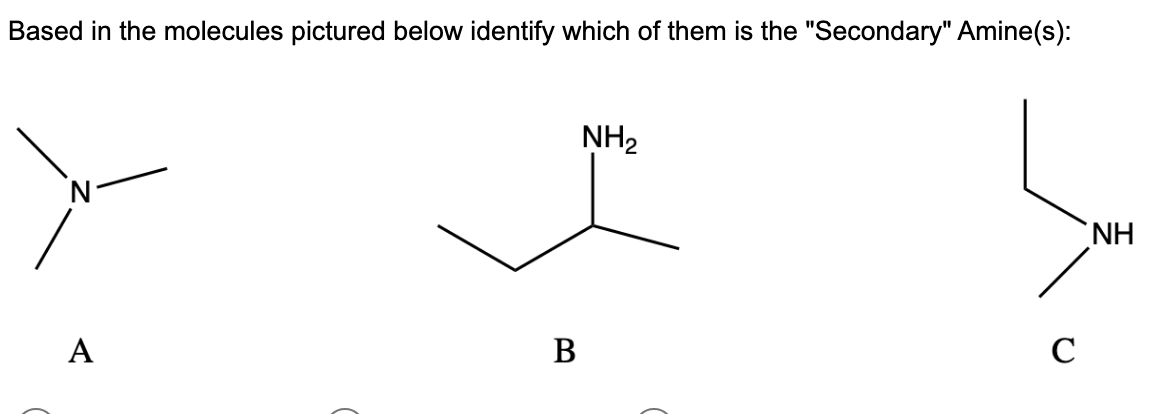 Based in the molecules pictured below identify which of them is the "Secondary" Amine(s):
A
B
NH₂
C
ΝΗ