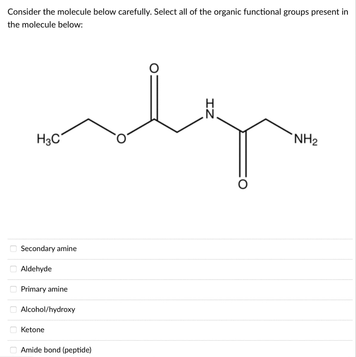 Consider the molecule below carefully. Select all of the organic functional groups present in
the molecule below:
O
odgo
H₂C
Secondary amine
Aldehyde
Primary amine
Alcohol/hydroxy
Ketone
Amide bond (peptide)
NH₂