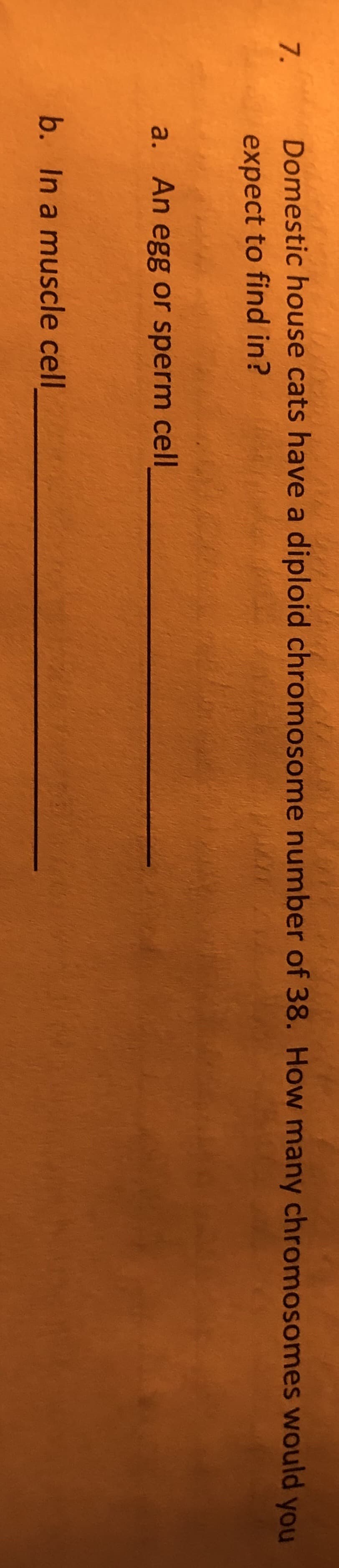 7.
Domestic house cats have a diploid chromosome number of 38. How many chromosomes would you
expect to find in?
a. An egg or sperm cell
b. In a muscle cell
