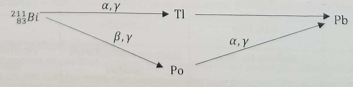 a, Y
TI
Pb
211
83
2Bi
B.Y
a, Y
Ро
