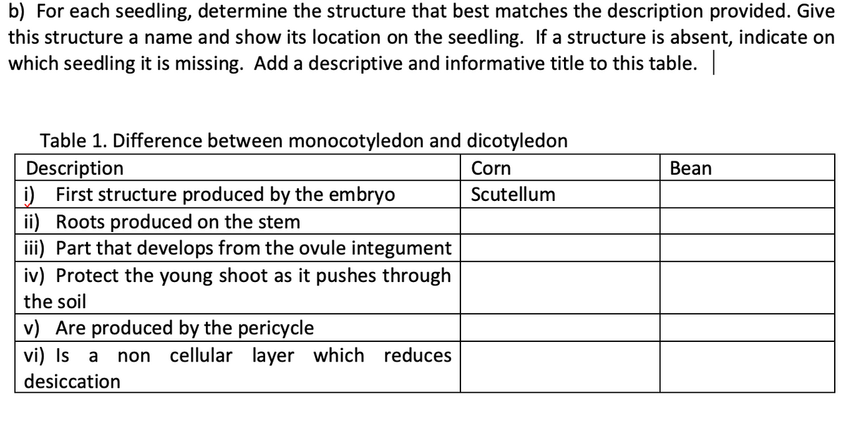 b) For each seedling, determine the structure that best matches the description provided. Give
this structure a name and show its location on the seedling. If a structure is absent, indicate on
which seedling it is missing. Add a descriptive and informative title to this table. |
Table 1. Difference between monocotyledon and dicotyledon
Description
Corn
i) First structure produced by the embryo
Scutellum
ii) Roots produced on the stem
iii) Part that develops from the ovule integument
iv) Protect the young shoot as it pushes through
the soil
v) Are produced by the pericycle
vi) Is a non cellular layer which reduces
desiccation
Bean
