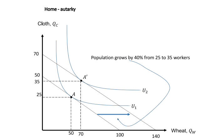 Home - autarky
Cloth, Qc
70
Population grows by 40% from 25 to 35 workers
50
A'
35
U2
25
A
·U1
Wheat, Qw
50 70
100
140
