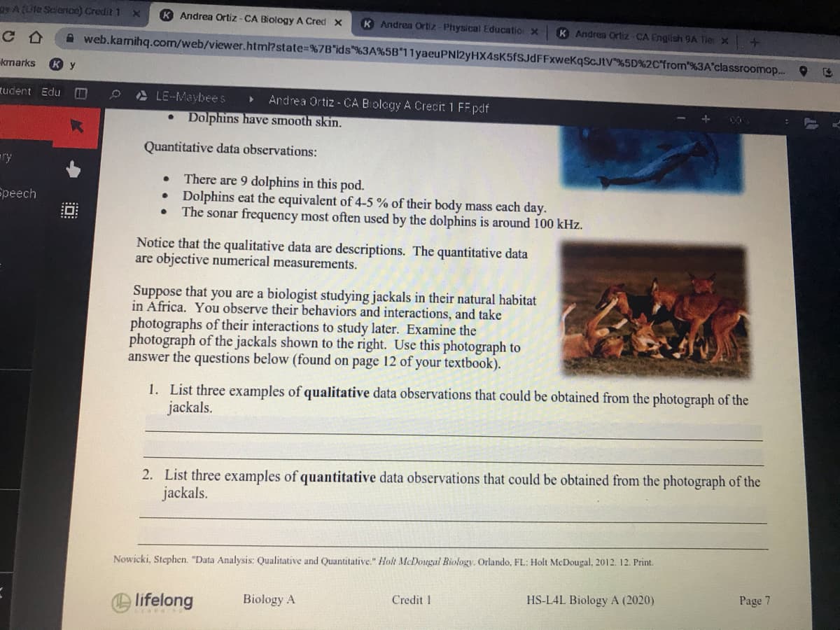 gy A (Ule Science) Credit 1 x
K Andrea Ortiz - CA Biology A Cred x
K Andrea Ortiz-Physical Educatio x
K Andrea Ortiz-CA English 9A Tie X
A web.kamihq.com/web/viewer.html?state%=%7B"ids"%3A%5B"11yaeuPNI2yHX4sK5fSJdFFxwekqScJtV"%5D%2C"from"%3A'classroomop.. 9
kmarks
Ky
Rudent Edu
* LE-Maybees
Andrea Ortiz - CA Biology A Crecit 1 FFpdf
Dolphins have smooth skin.
Quantitative data observations:
ry
There are 9 dolphins in this pod.
• Dolphins eat the equivalent of 4-5 % of their body mass each day.
The sonar frequency most often used by the dolphins is around 100 kHz.
Speech
Notice that the qualitative data are descriptions. The quantitative data
are objective numerical measurements.
Suppose that you are a biologist studying jackals in their natural habitat
in Africa. You observe their behaviors and interactions, and take
photographs of their interactions to study later. Examine the
photograph of the jackals shown to the right. Use this photograph to
answer the questions below (found on page 12 of your textbook).
1. List three examples of qualitative data observations that could be obtained from the photograph of the
jackals.
2. List three examples of quantitative data observations that could be obtained from the photograph of the
jackals.
Nowicki, Stephen. "Data Analysis: Qualitative und Quantitative." Holt McDougal Biology. Orlando, FL: Holt McDougal, 2012. 12. Print.
Credit 1
HS-L4L Biology A (2020)
Page 7
O lifelong
Biology A
