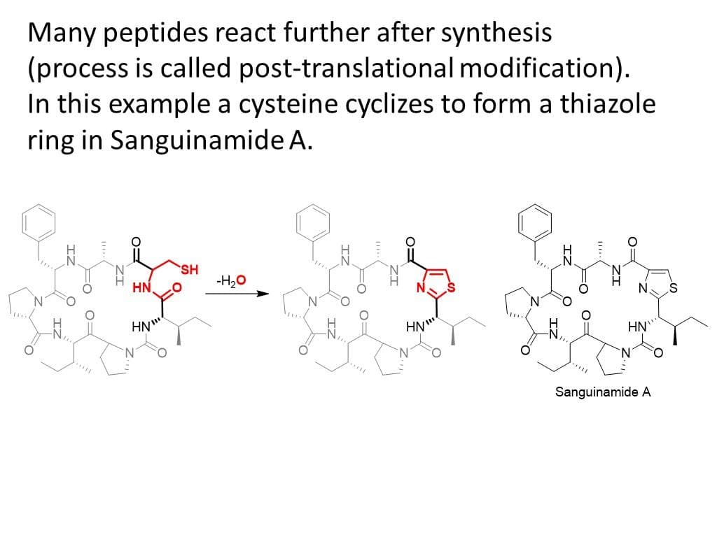 Many peptides react further after synthesis
(process is called post-translational modification).
In this example a cysteine cyclizes to form a thiazole
ring in Sanguinamide A.
O=
HN
HN"
SH
-H₂O
o=
HN"
0=
0=
N₂ S
HN
Sanguinamide A