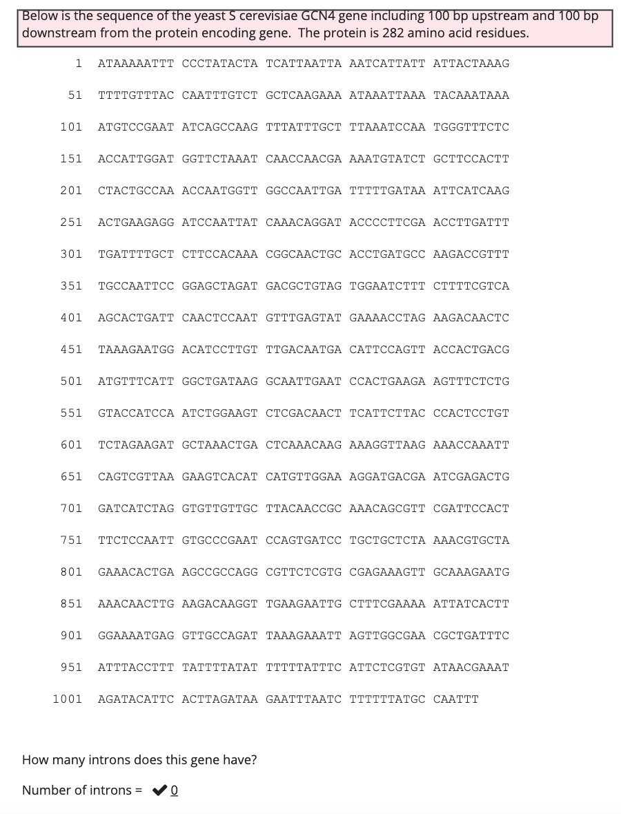 Below is the sequence of the yeast S cerevisiae GCN4 gene including 100 bp upstream and 100 bp
downstream from the protein encoding gene. The protein is 282 amino acid residues.
1 ATAAAAATTT CCCTATACTA TCATTAATTA AATCATTATT ATTACTAAAG
51 TTTTGTTTAC CAATTTGTCT GCTCAAGAAA ATAAATTAAA TACAAATAAA
101 ATGTCCGAAT ATCAGCCAAG TTTATTTGCT TTAAATCCAA TGGGTTTCTC
151 ACCATTGGAT GGTTCTAAAT CAACCAACGA AAATGTATCT GCTTCCACTT
201 CTACTGCCAA ACCAATGGTT GGCCAATTGA TTTTTGATAA ATTCATCAAG
251 ACTGAAGAGG ATCCAATTAT CAAACAGGAT ACCCCTTCGA ACCTTGATTT
301 TGATTTTGCT CTTCCACAAA CGGCAACTGC ACCTGATGCC AAGACCGTTT
351 TGCCAATTCC GGAGCTAGAT GACGCTGTAG TGGAATCTTT CTTTTCGTCA
401 AGCACTGATT CAACTCCAAT GTTTGAGTAT GAAAACCTAG AAGACAACTC
451 TAAAGAATGG ACATCCTTGT TTGACAATGA CATTCCAGTT ACCACTGACG
501 ATGTTTCATT GGCTGATAAG GCAATTGAAT CCACTGAAGA AGTTTCTCTG
551
GTACCATCCA ATCTGGAAGT CTCGACAACT TCATTCTTAC CCACTCCTGT
601 TCTAGAAGAT GCTAAACTGA CTCAAACAAG AAAGGTTAAG AAACCAAATT
651 CAGTCGTTAA GAAGTCACAT CATGTTGGAA AGGATGACGA ATCGAGACTG
701 GATCATCTAG GTGTTGTTGC TTACAACCGC AAACAGCGTT CGATTCCACT
751 TTCTCCAATT GTGCCCGAAT CCAGTGATCC TGCTGCTCTA AAACGTGCTA
801
GAAACACTGA AGCCGCCAGG CGTTCTCGTG CGAGAAAGTT GCAAAGAATG
851 AAACAACTTG AAGACAAGGT TGAAGAATTG CTTTCGAAAA ATTATCACTT
901 GGAAAATGAG GTTGCCAGAT TAAAGAAATT AGTTGGCGAA CGCTGATTTC
951 ATTTACCTTT TATTTTATAT TTTTTATTTC ATTCTCGTGT ATAACGAAAT
1001 AGATACATTC ACTTAGATAA GAATTTAATC TTTTTTATGC CAATTT
How many introns does this gene have?
Number of introns = 0