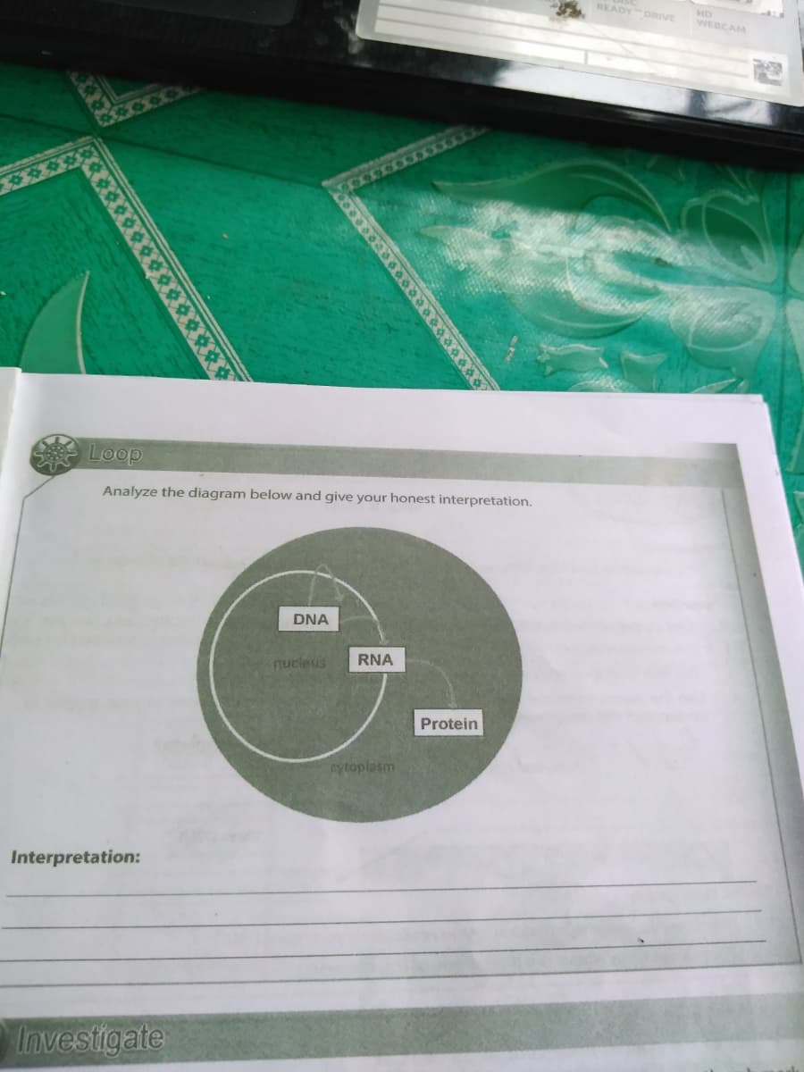 READY DRIVE
HD
WEBCAM
Loop
Analyze the diagram below and give your honest interpretation.
DNA
RNA
nucleus
Protein
cytoplasm
Interpretation:
Investigate
*****
