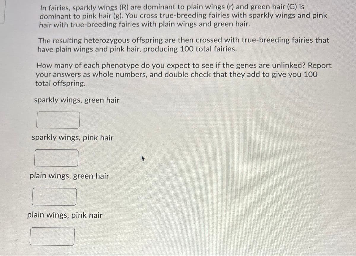 In fairies, sparkly wings (R) are dominant to plain wings (r) and green hair (G) is
dominant to pink hair (g). You cross true-breeding fairies with sparkly wings and pink
hair with true-breeding fairies with plain wings and green hair.
The resulting heterozygous offspring are then crossed with true-breeding fairies that
have plain wings and pink hair, producing 100 total fairies.
How many of each phenotype do you expect to see if the genes are unlinked? Report
your answers as whole numbers, and double check that they add to give you 100
total offspring.
sparkly wings, green hair
sparkly wings, pink hair
plain wings, green hair
plain wings, pink hair