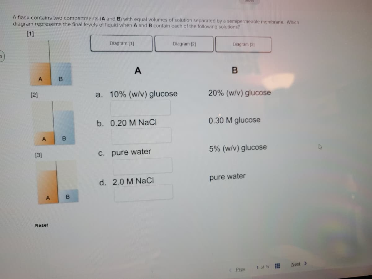 A flask contains two compartments (A and B) with equal volumes of solution separated by a semipermeable membrane. Which
diagram represents the final levels of liquid when A and B contain each of the following solutions?
[1]
Diagram [1]
Diagram [2]
Diagram (3]
2
A
[2]
a. 10% (w/v) glucose
20% (w/v) glucose
b. 0.20 M NaCI
0.30 M glucose
[3]
C. pure water
5% (w/v) glucose
d. 2.0 M NaCl
pure water
Reset
1 of 5
Next >
< Prev
