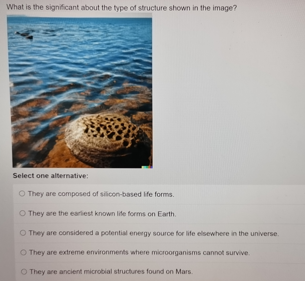 What is the significant about the type of structure shown in the image?
Select one alternative:
O They are composed of silicon-based life forms.
O They are the earliest known life forms on Earth.
O They are considered a potential energy source for life elsewhere in the universe.
O They are extreme environments where microorganisms cannot survive.
O They are ancient microbial structures found on Mars.