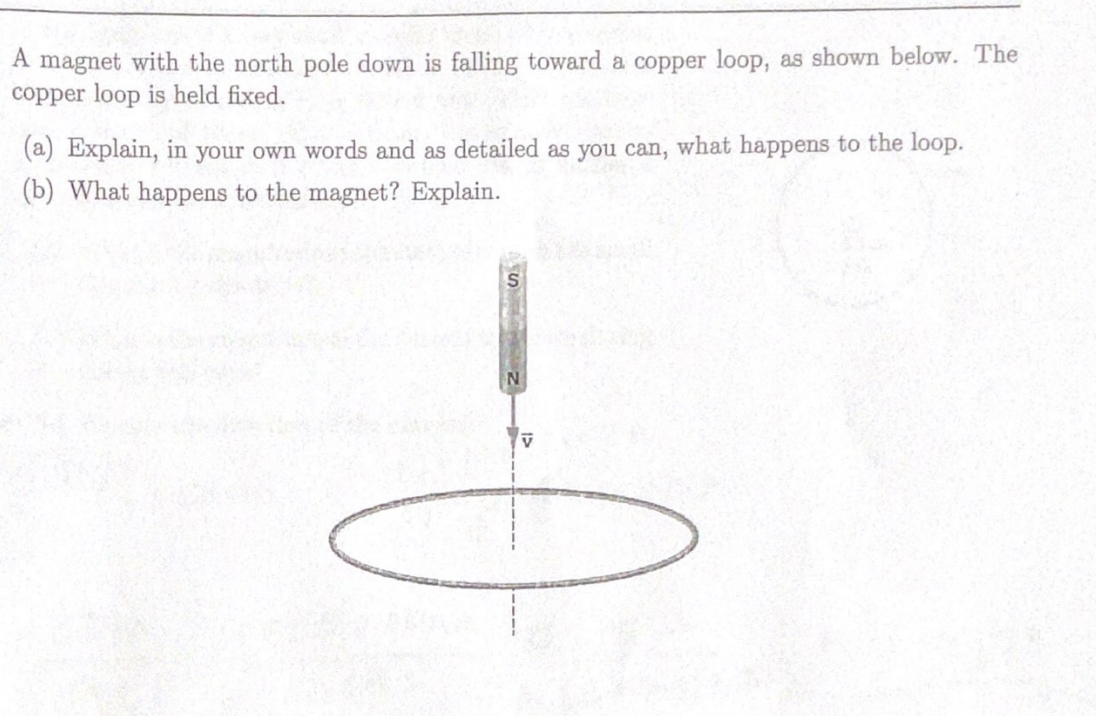 A magnet with the north pole down is falling toward a copper loop, as shown below. The
copper loop is held fixed.
(a) Explain, in your own words and as detailed as you can, what happens to the loop.
(b) What happens to the magnet? Explain.
