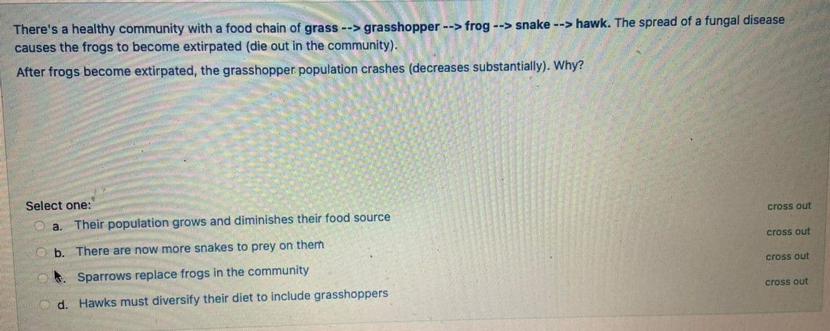 There's a healthy community with a food chain of grass --> grasshopper--> frog --> snake -
causes the frogs to become extirpated (die out in the community).
--> hawk. The spread of a fungal disease
After frogs become extirpated, the grasshopper population crashes (decreases substantially). Why?
Select one:
a. Their population grows and diminishes their food source
cross out
b. There are now more snakes to prey on them
cross out
cross out
. Sparrows replace frogs in the community
cross out
d. Hawks must diversify their diet to include grasshoppers
