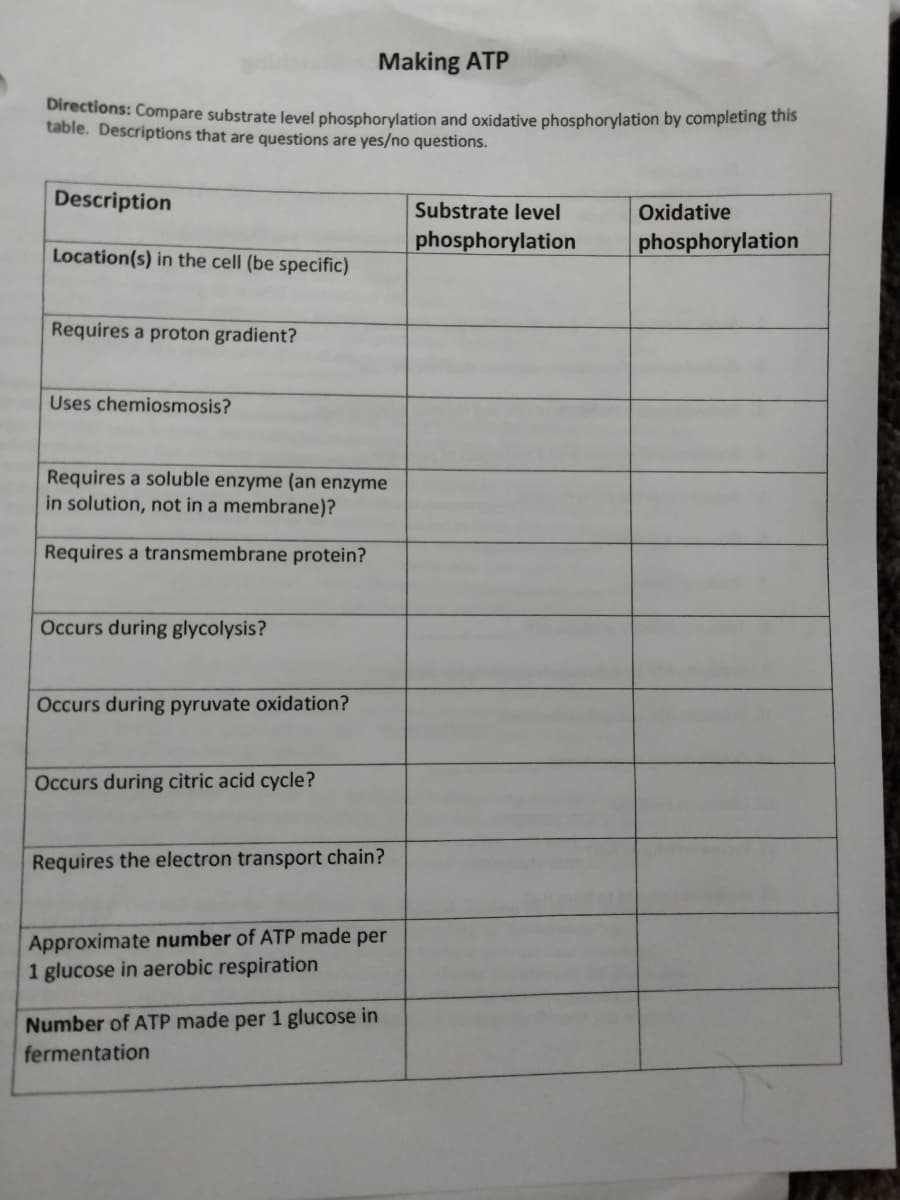 Making ATP
Directions: Compare substrate level phosphorylation and oxidative phosphorylation by completing this
table. Descriptions that are questions are yes/no questions.
Description
Location(s) in the cell (be specific)
Requires a proton gradient?
Uses chemiosmosis?
Requires a soluble enzyme (an enzyme
in solution, not in a membrane)?
Requires a transmembrane protein?
Occurs during glycolysis?
Occurs during pyruvate oxidation?
Occurs during citric acid cycle?
Requires the electron transport chain?
Approximate number of ATP made per
1 glucose in aerobic respiration
Number of ATP made per 1 glucose in
fermentation
Substrate level
phosphorylation
Oxidative
phosphorylation