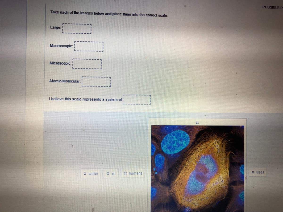 POSSIBLE P
Take each of the images below and place them into the correct scale:
Large:
Macroscopic:
Microscopic:
Atomic/Molecular:
I believe this scale represents a system of
: trees
:: water
:: air
:: humans
