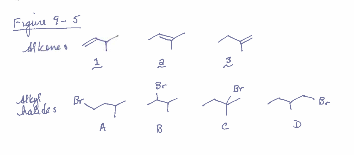 Figure 9-5
Alkenes
Alkyl
halides
Br.
1
A
рез
Br
В
3
Br
Y
с
А
Br