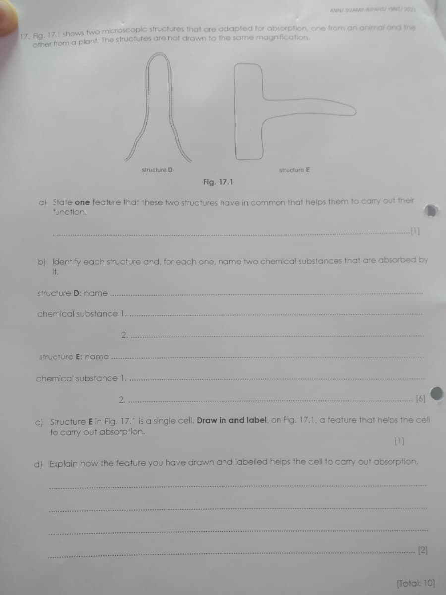 ANN/SUAMP RIPAHS/ YNT/2021
17 Fla 171 shows two microscopic structures that are adapted for absorption, one from an animal and the
other from a plant. The structures are not drawn to the same magnification.
structure D
structure E
Fig. 17.1
a) State one feature that these two structures have in common that helps them to cary out their
function.
b) Identify each structure and, for each one, name two chemical substances that are absorbed by
it.
structure D: name
chemical substance 1.
2.
structure E: name
chemical substance 1.
2.
(6]
c) Structure E in Fig. 17.1 is a single cell. Draw in and label, on Fig. 17.1, a feature that helps the cell
to cary out absorption.
[1]
d) Explain how the feature you have drawn and labelled helps the cell to carry out absorption.
[2]
[Total: 10]
